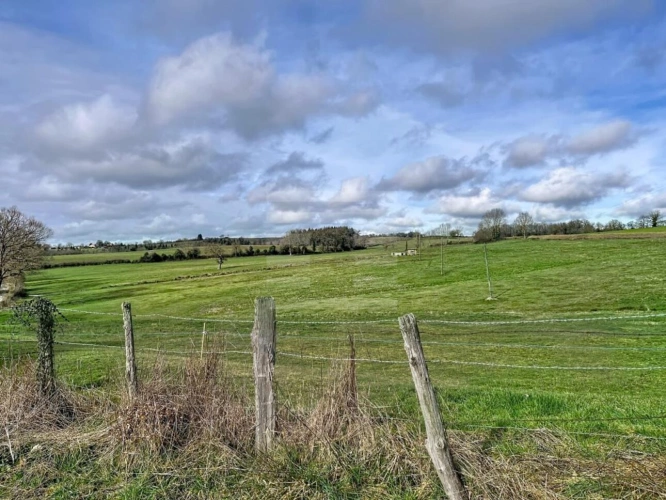 Photos 17 - Rurale - Propriété agricole