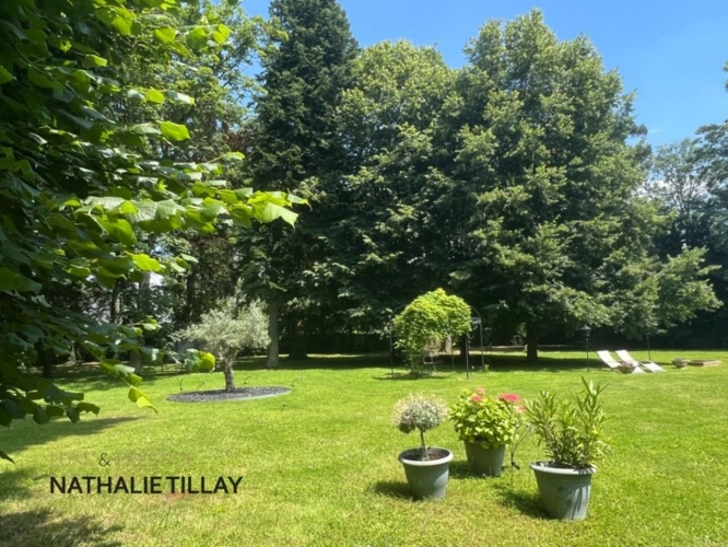 Photos 3 - Prestige - St jean le Blanc, proche Orleans, à vendre, maison de Maitre du XIX eme de 423 M² habitables,  490 AU SOL, avec piscine, parc arboré de 4655 m²