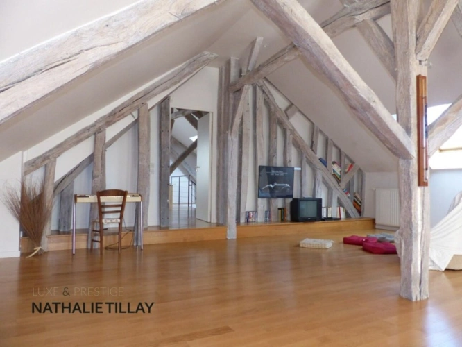 Photos 15 - Prestige - St jean le Blanc, proche Orleans, à vendre, maison de Maitre du XIX eme de 423 M² habitables,  490 AU SOL, avec piscine, parc arboré de 4655 m²