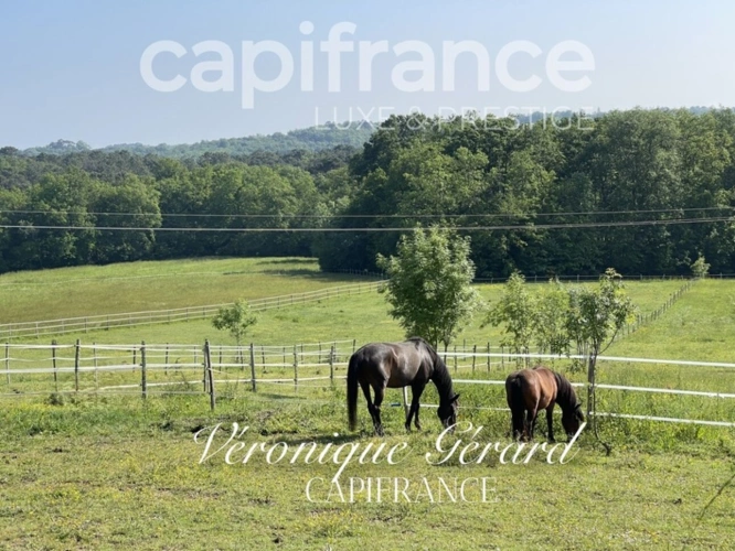 Photos 8 - Équestre - PROPRIETE EQUESTRE SUR PLUS DE 10 HECTARES