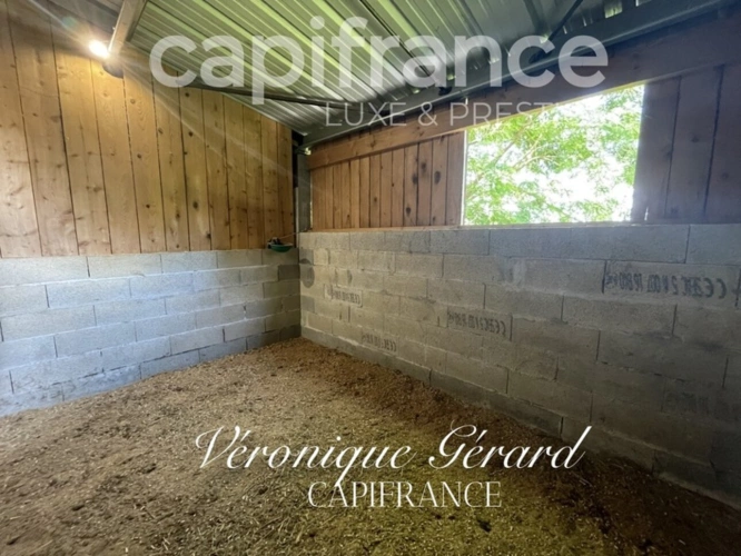 Photos 28 - Équestre - PROPRIETE EQUESTRE SUR PLUS DE 10 HECTARES