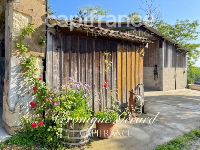 Photos 29 - Équestre - PROPRIETE EQUESTRE SUR PLUS DE 10 HECTARES