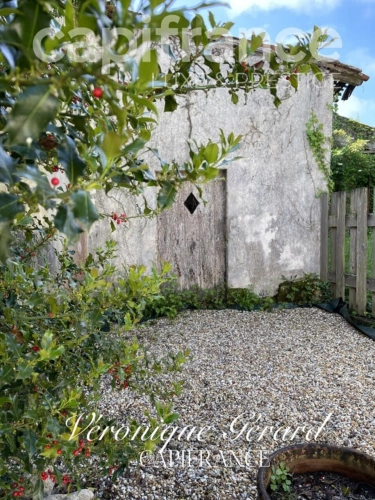 Photos 33 - Équestre - PROPRIETE EQUESTRE SUR PLUS DE 10 HECTARES