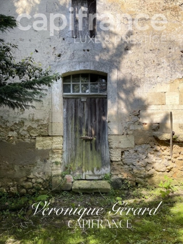 Photos 34 - Équestre - PROPRIETE EQUESTRE SUR PLUS DE 10 HECTARES