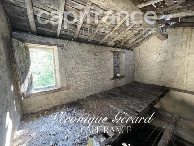 Photos 36 - Équestre - PROPRIETE EQUESTRE SUR PLUS DE 10 HECTARES