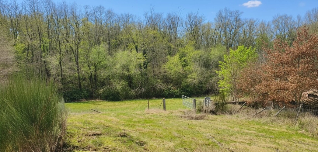 Photos 2 - Équestre - Maison