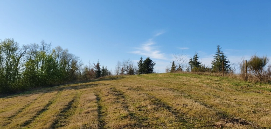 Photos 5 - Équestre - Maison