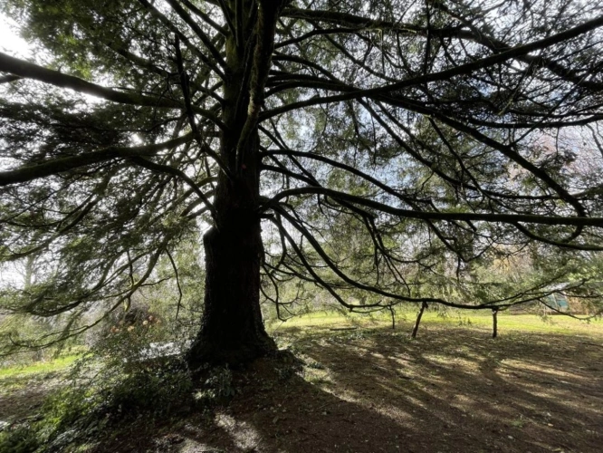 Photos 19 - Rurale - Maison