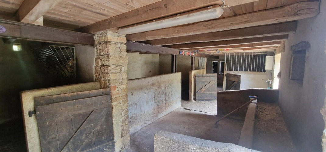 Photos 8 - Prestige - Propriété