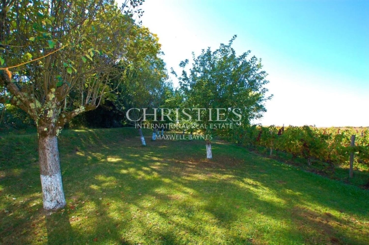 Photos 10 - Touristique - Domaine viticole d'agrément de charme avec vue sur la Dordogne