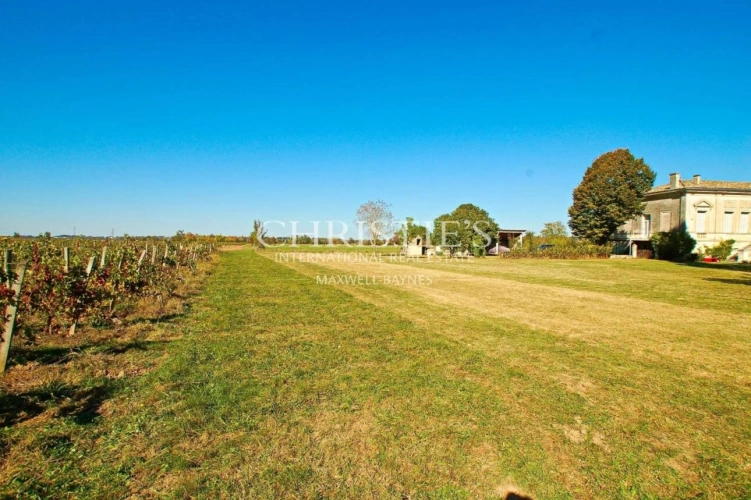 Photos 12 - Touristique - Domaine viticole d'agrément de charme avec vue sur la Dordogne