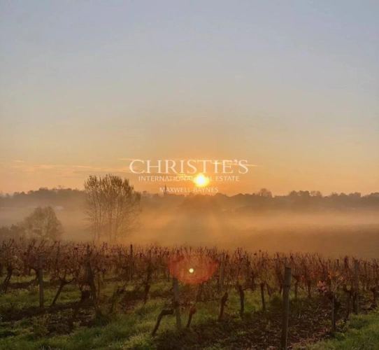 Photos 12 - Viticole - Propriété viticole d'agrément - Œnotourisme - proche Bordeaux