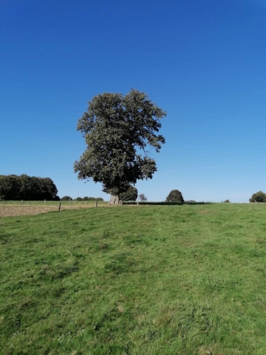 Photos 1 - Agricole - Propriete à vendre 1 pièces CEAUCE (61)