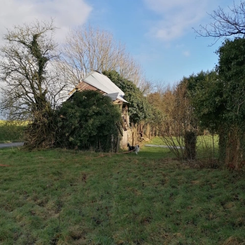 Photos 2 - Agricole - Propriete à vendre 1 pièces CEAUCE (61)