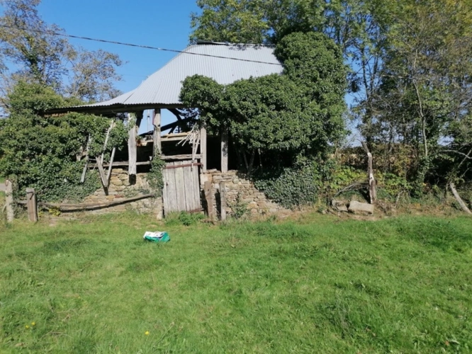 Photos 4 - Agricole - Propriete à vendre 1 pièces CEAUCE (61)