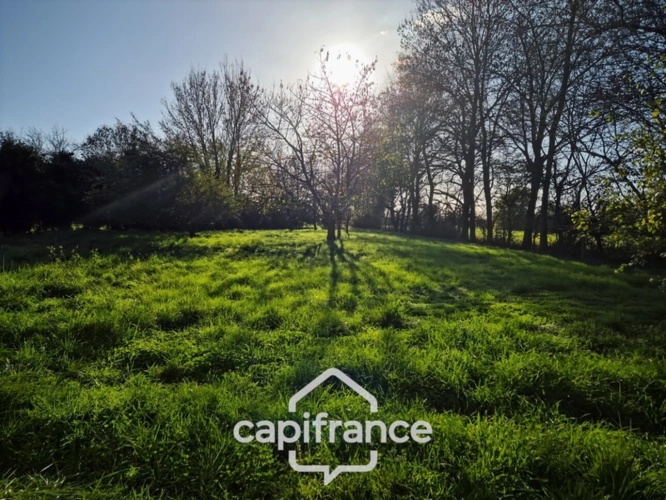 Photos 4 - Rural - In Charente Maritime, in the town of LANDES (17380), a barn to renovate on 2313m² of wooded land.