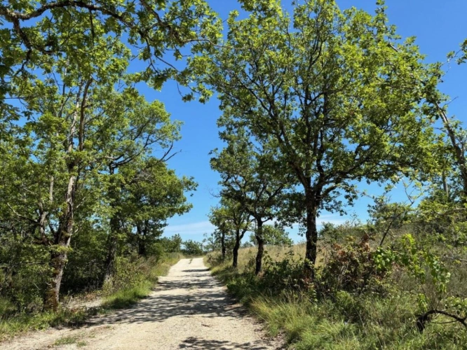 Photos 3 - Prestige - Maison