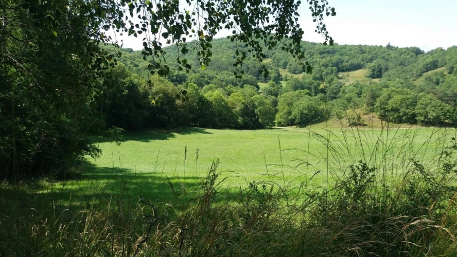 Photos 3 - Rural - Estate