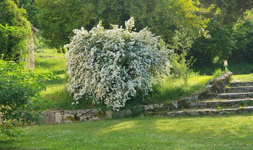 Photos 8 - Rural - Estate