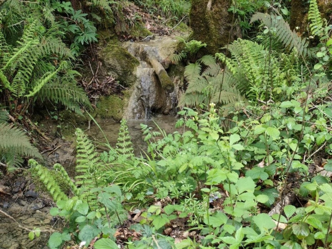 Photos 18 - Rural - Estate