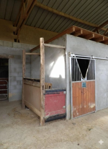 Photos 9 - Équestre - Haras sur 15 Hectares