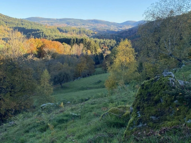 Photos 10 - Équestre - Propriété au coeur du Parc naturel du Livradois-Forez - 27 h