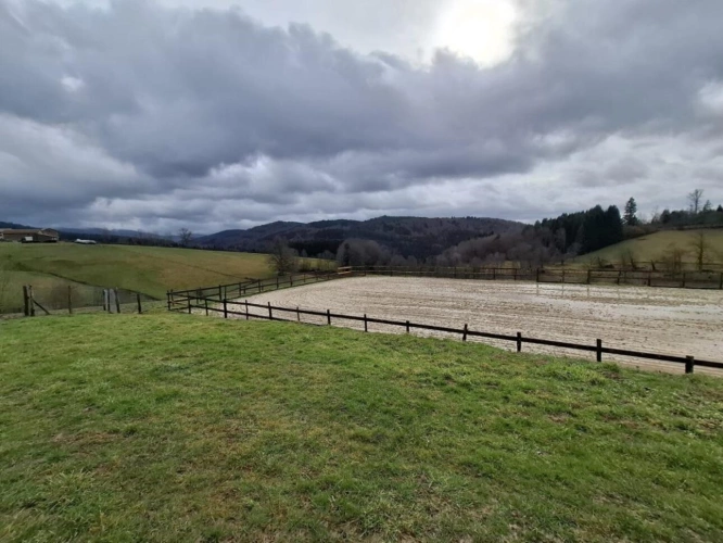 Photos 14 - Équestre - Propriété au coeur du Parc naturel du Livradois-Forez - 27 h