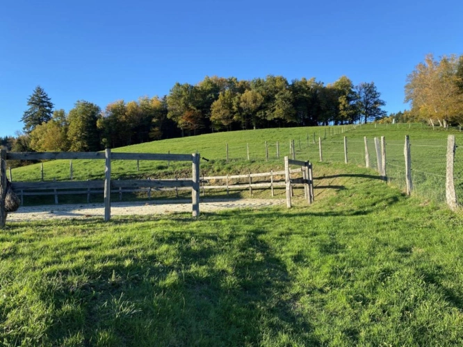 Photos 16 - Équestre - Propriété au coeur du Parc naturel du Livradois-Forez - 27 h