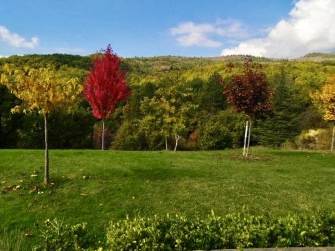 Photos 3 - Rurale - Maison ossature bois avec piscine et étang