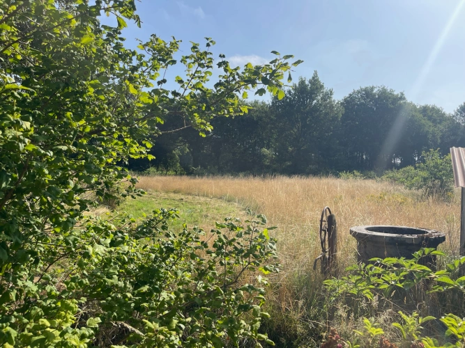 Photos 10 - Rurale - Ancienne longère  à rénover – Idéal projet équestre ou artisanal