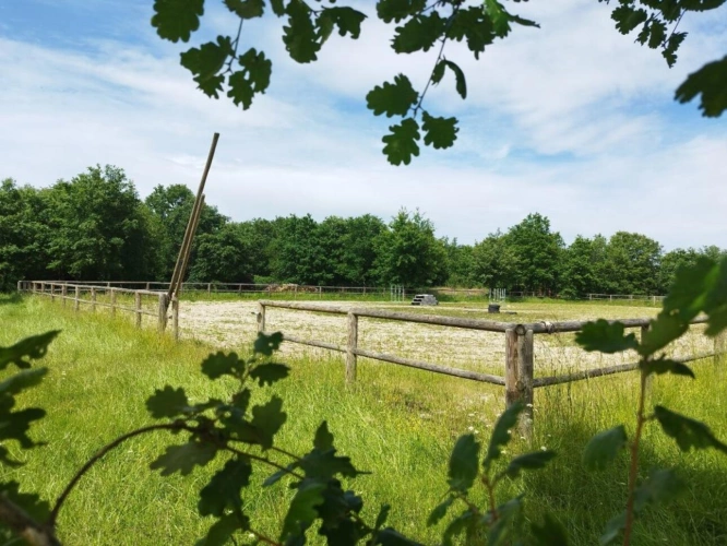 Photos 19 - Equestrian - Property