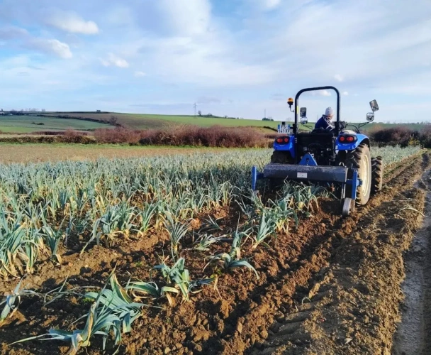 Photos 4 - Agricole - Belle exploitation maraichère très bien située