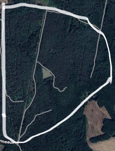 Photos 1 - Forestière - Forêt avec étang Dordogne