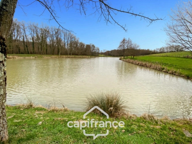 Photos 1 - Forestière - Etang de pêche - 1.1 hectare d'eau - empoissonné -  DOMMARTIN LES CUISEAUX (71)