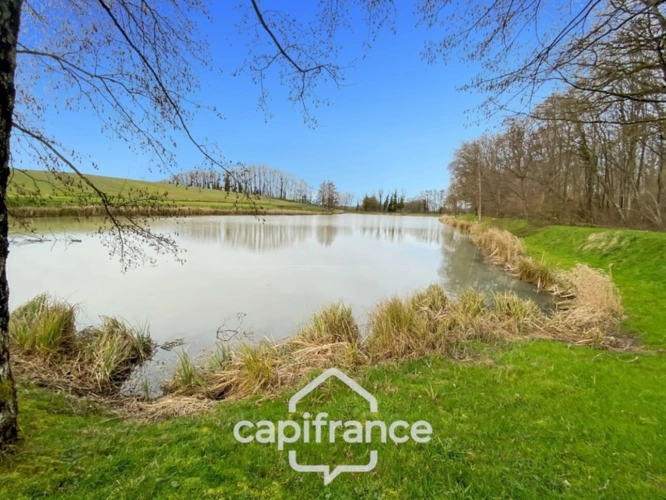 Photos 3 - Forestière - Etang de pêche - 1.1 hectare d'eau - empoissonné -  DOMMARTIN LES CUISEAUX (71)