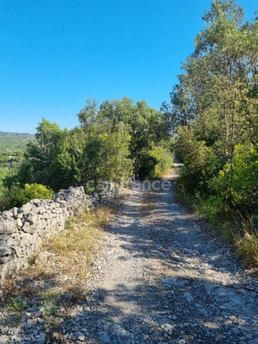 Photos 5 - Forestière - Terrain à vendre avec Mazet en pierre  SAUVE (30)