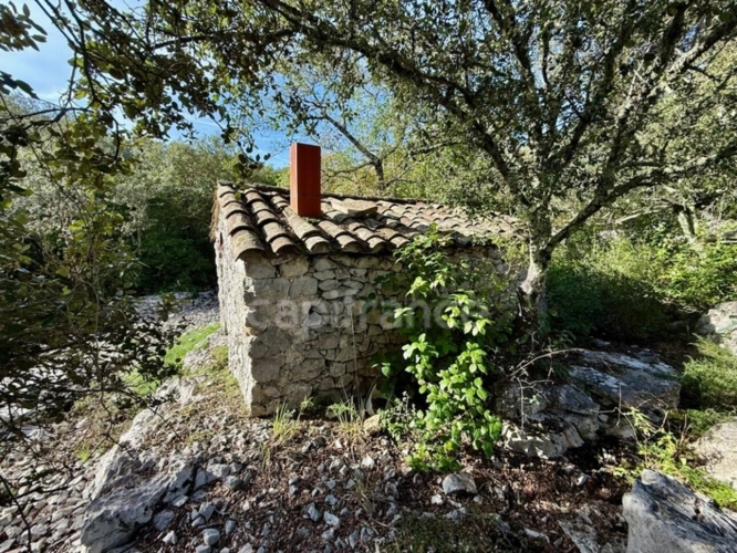 Photos 1 - Forestière - Terrain à vendre avec Mazet en pierre  SAUVE (30)