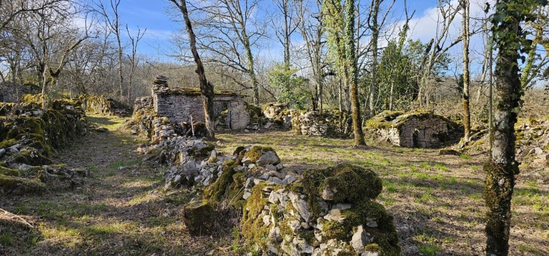 Photos 16 - Rurale - Maison de campagne