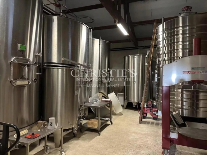 Photos 8 - Viticole - Domaine viticole à vendre - satellite de Saint-Émilion, environ 17 ha