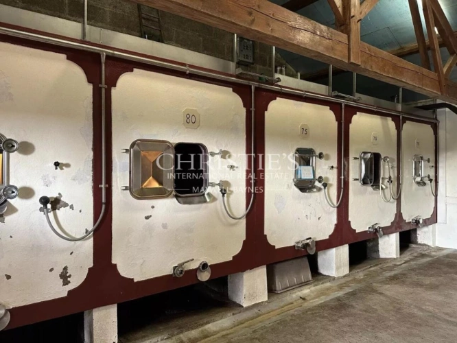 Photos 9 - Viticole - Domaine viticole à vendre - satellite de Saint-Émilion, environ 17 ha