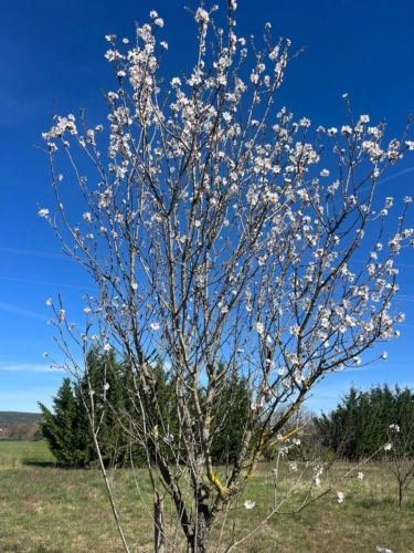 Photos 3 - Rurale - Terrain de loisirs de 2600m² à vendre à COLLIAS (30) - Environnement naturel privilégié