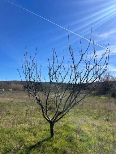 Photos 4 - Rurale - Terrain de loisirs de 2600m² à vendre à COLLIAS (30) - Environnement naturel privilégié