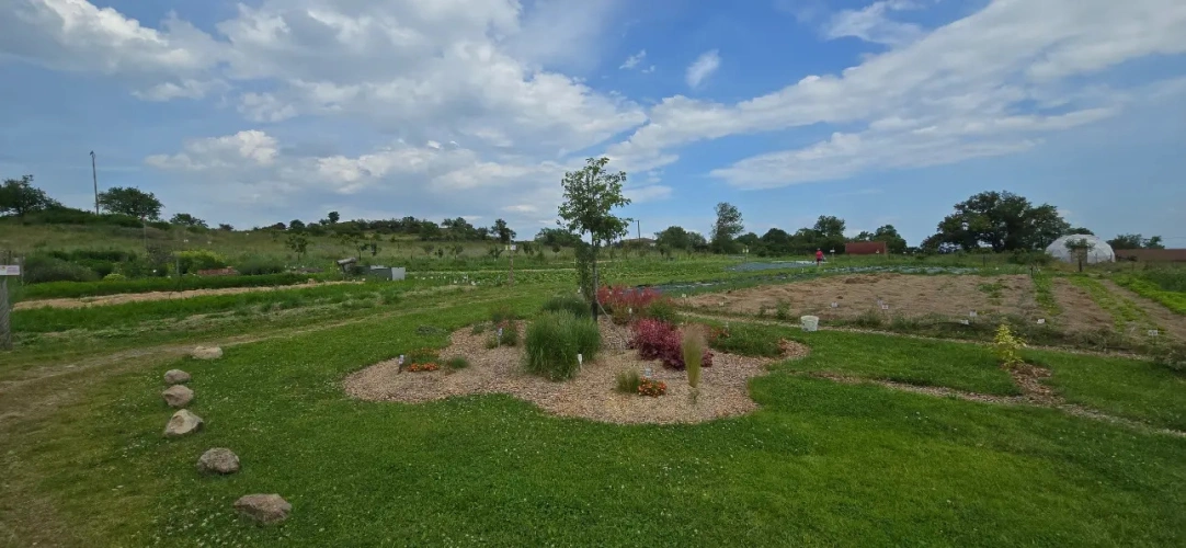 Photos 10 - Agricole - Tiers lieu à louer ou à vendre pour activité restauration / évènementiel (42 LOIRE)