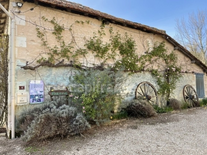 Photos 10 - Prestige - Domaine viticole avec activité touristique de 9,39 hectares - Vanzac (17)