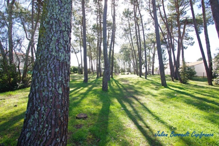 Photos 16 - Rural - Maison de 33,69 m² carrez avec une chambre et une mezzanine (4 couchages) dans la résidence Vendéennes 1