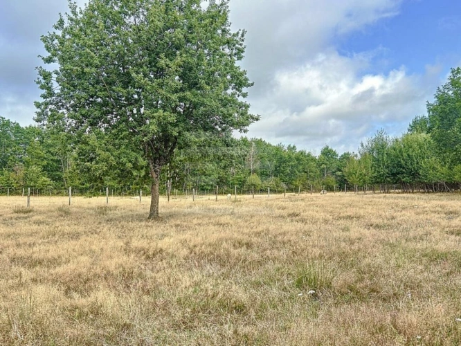 Photos 13 - Rurale - Maison de campagne