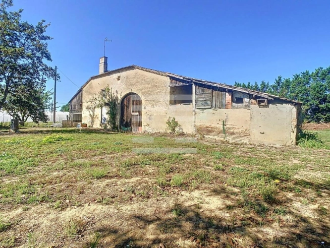 Photos 6 - Agricole - Horticole / Maraîchage