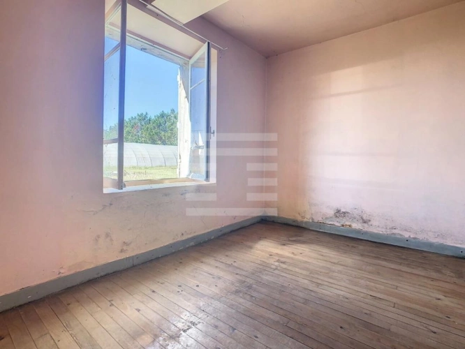 Photos 14 - Agricole - Horticole / Maraîchage