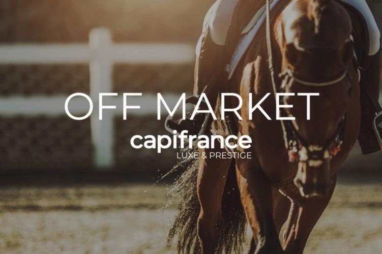 Photos 1 - Prestige - Propriete à vendre 16 pièces NOTRE DAME D'ESTREES (14)