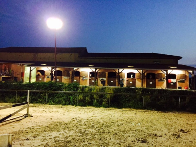 Photos 6 - Equestrian - Propriété équestre et locatif 4 hectares